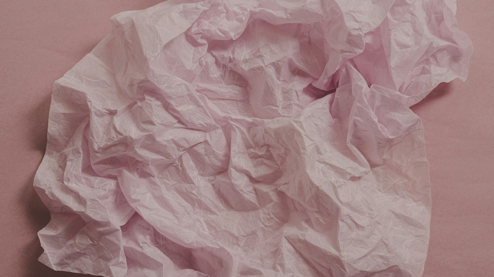 Neatly folded lingerie wrapped in tissue paper